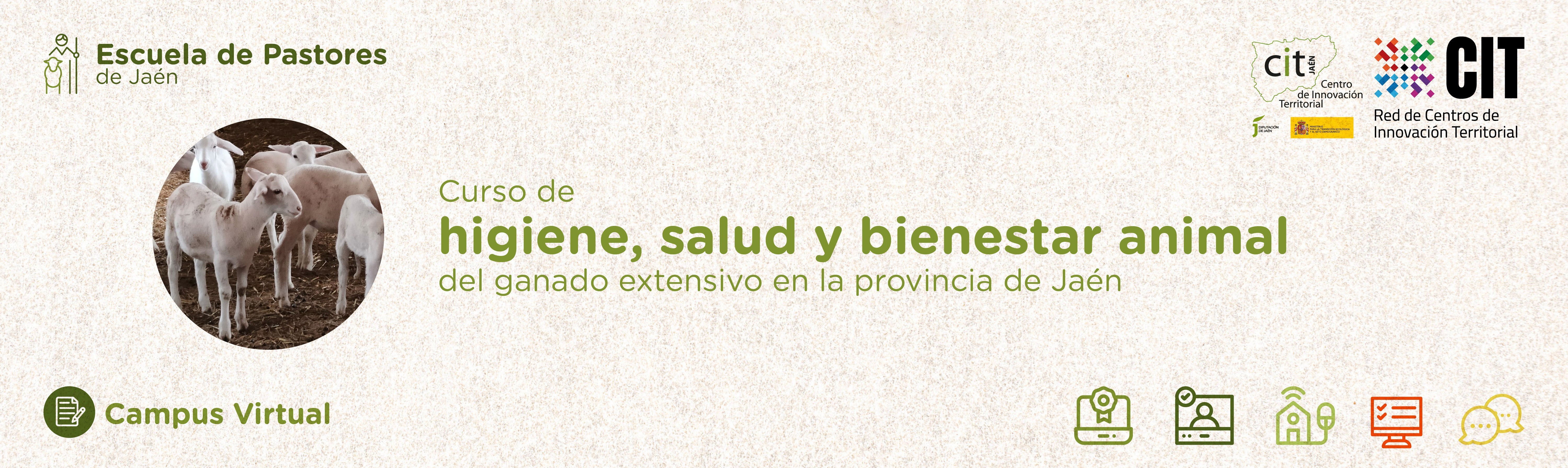 slideshow banner