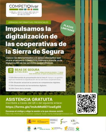 linea 4